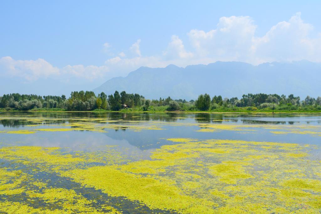 Kings Houseboats Hotel Srinagar  Luaran gambar