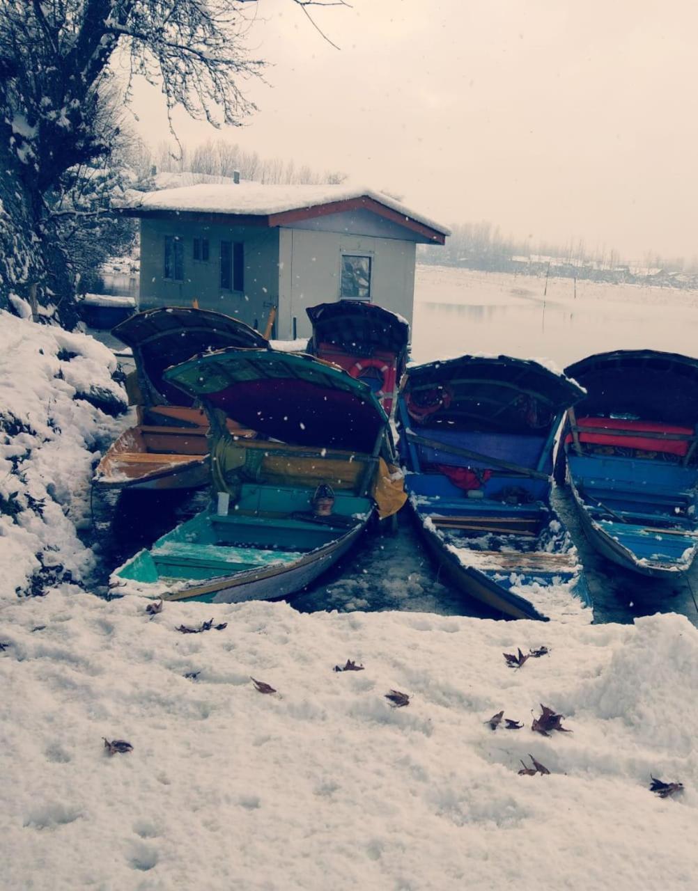 Kings Houseboats Hotel Srinagar  Luaran gambar
