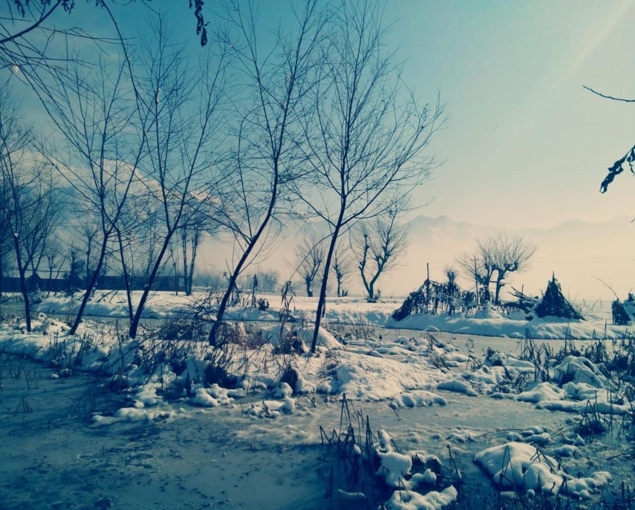 Kings Houseboats Hotel Srinagar  Luaran gambar